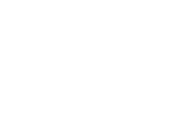 Living Toys for My Wife