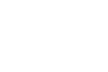 Socks Socks