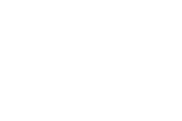 Circus Aerius Perversus