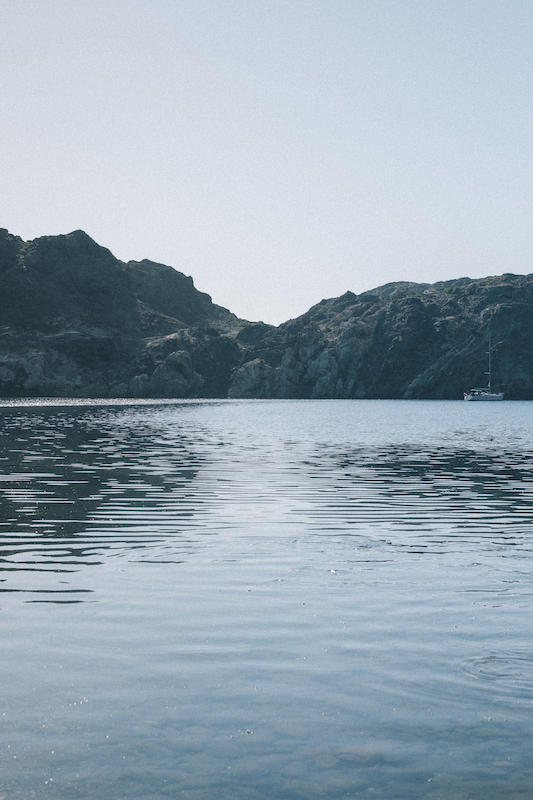 Xavier Baragona photos