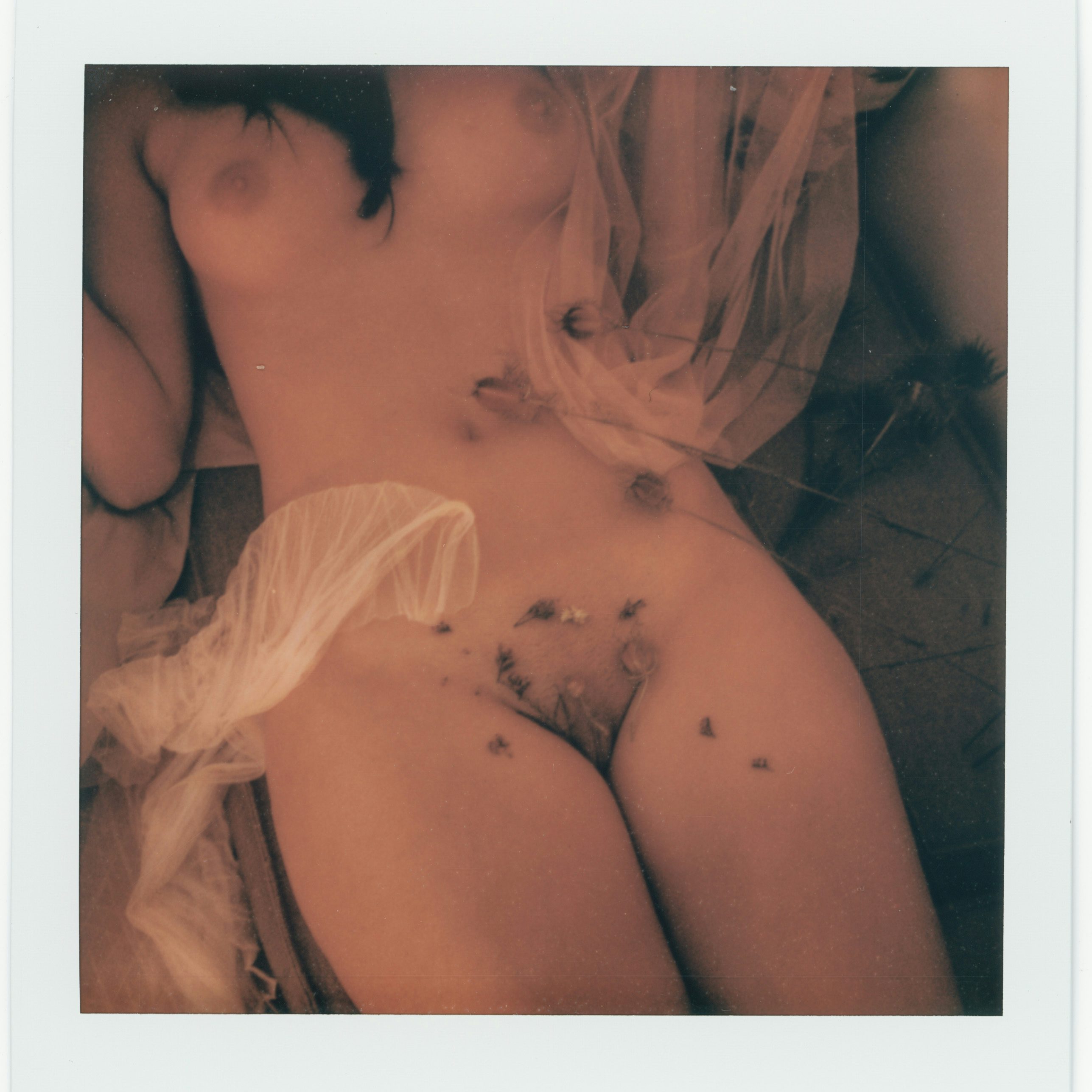 A lover, fit for a Queen Sex Confess | XConfessions Porn for Women A lover, fit for a Queen Sex Confess | XConfessions Porn for Women