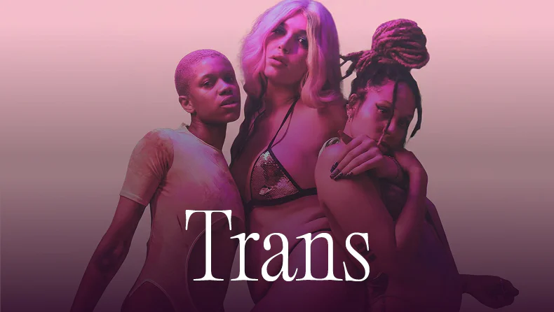 Trans Trans