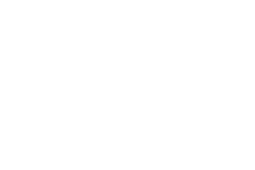 ANALÓXICA - The Summer I Became a Pornographer