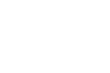 The Couchsurfer