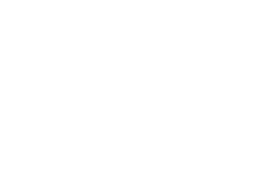 The Couchsurfer The Couchsurfer