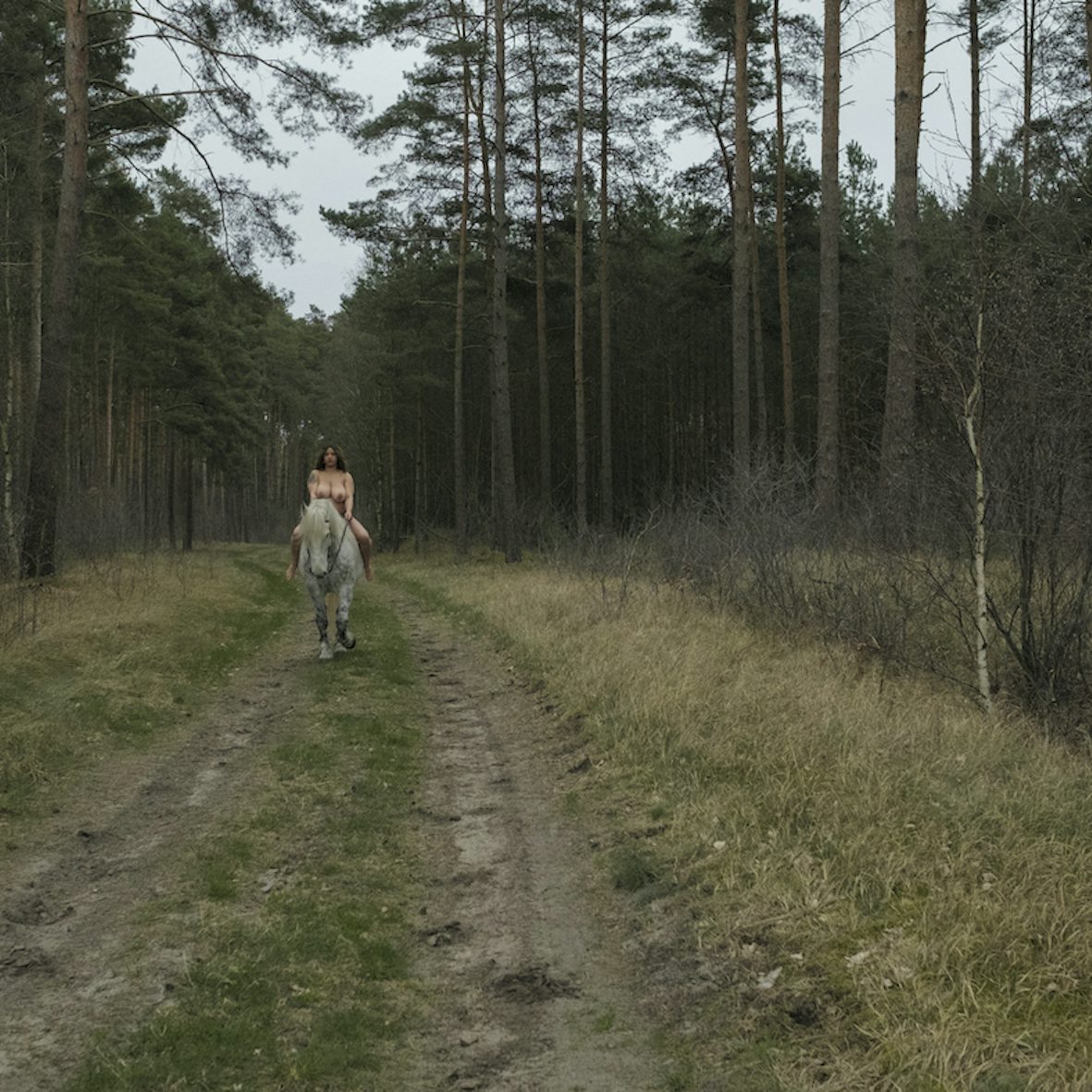 Orlandos porn photos Orlandos porn photos