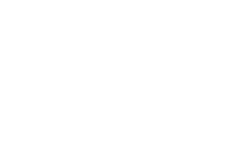 The Ski Instructor The Ski Instructor