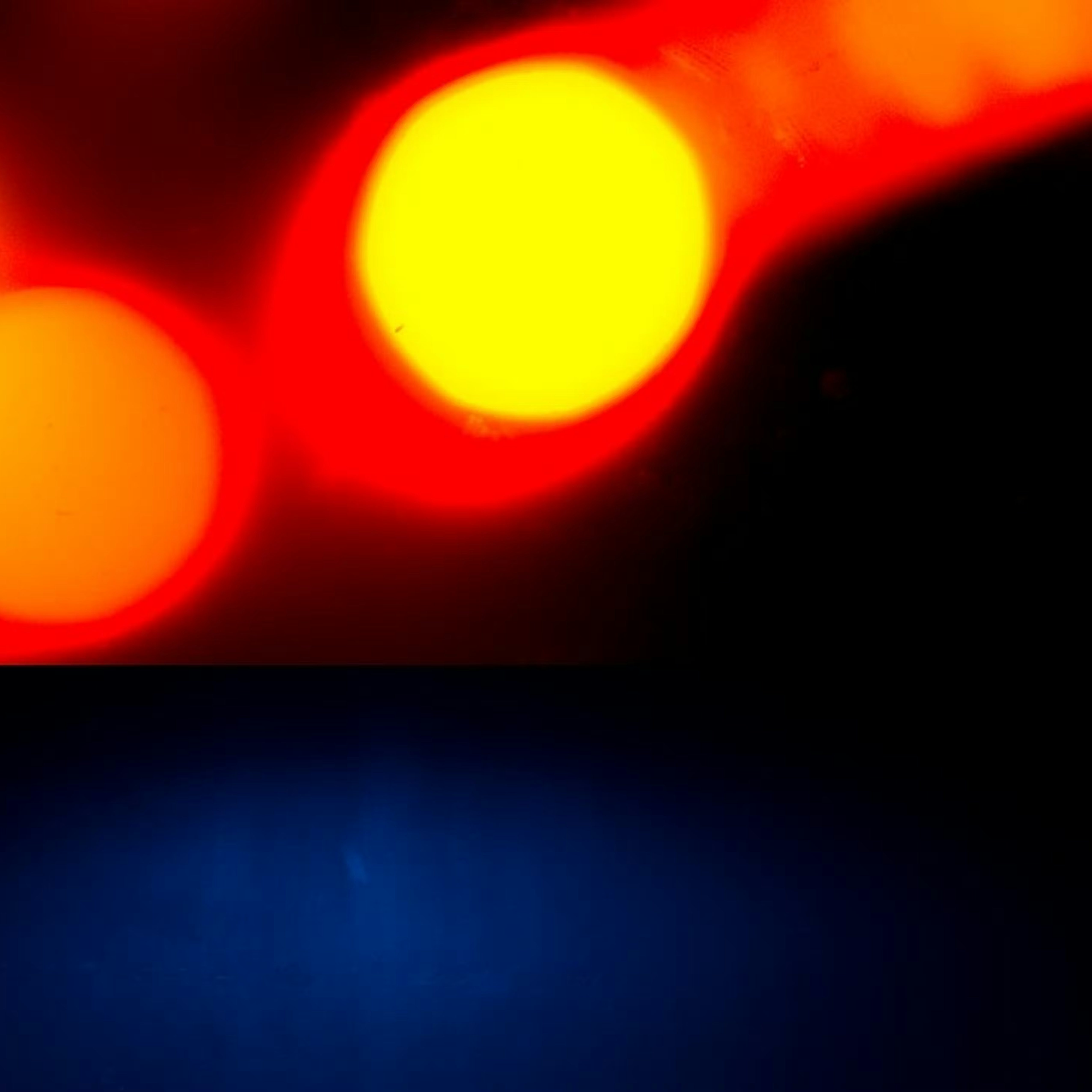 Police frisk at Christmas market Sex Confess | XConfessions Porn for Women Police frisk at Christmas market Sex Confess | XConfessions Porn for Women