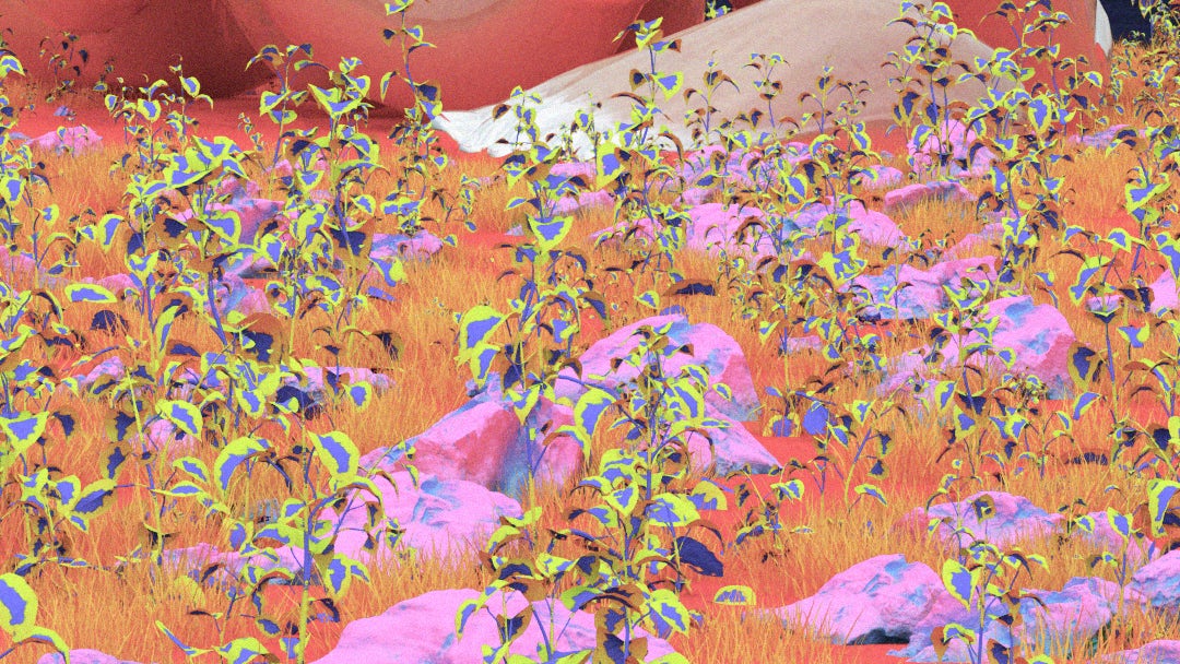 El Popo Sangre El Popo Sangre